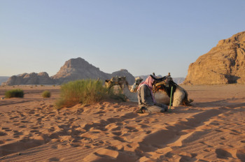 Jordanie, <br> terre de trésors légendaires